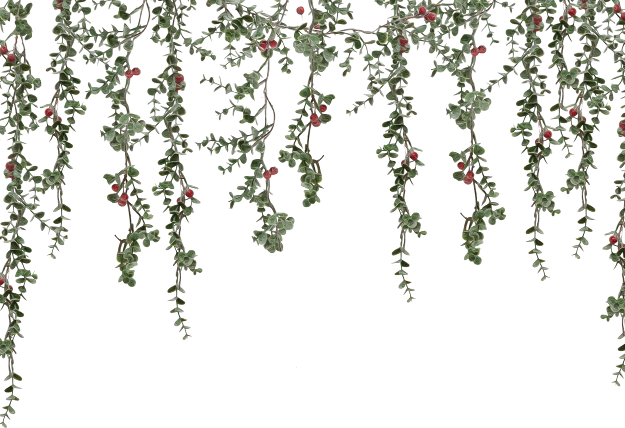 Hanging Eucalyptus Leaves